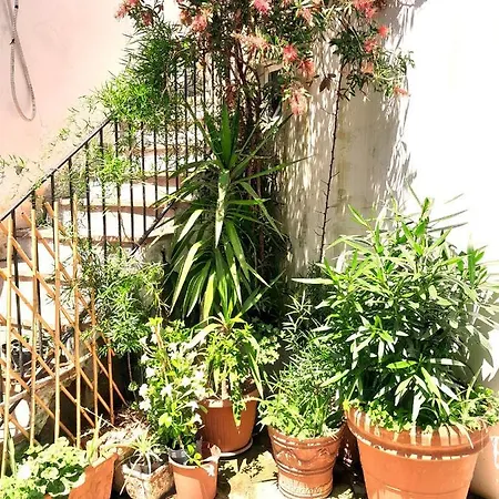 Casa Marina Panzió